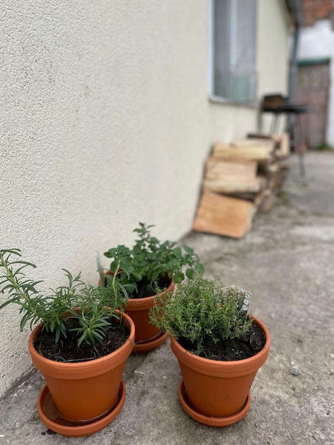 Wiejska Chatka Ujście-Darłowskie Exterior foto